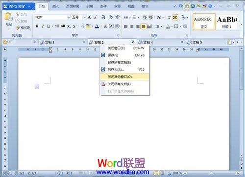WPS�����п�����������
